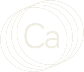Ícono Cárnico