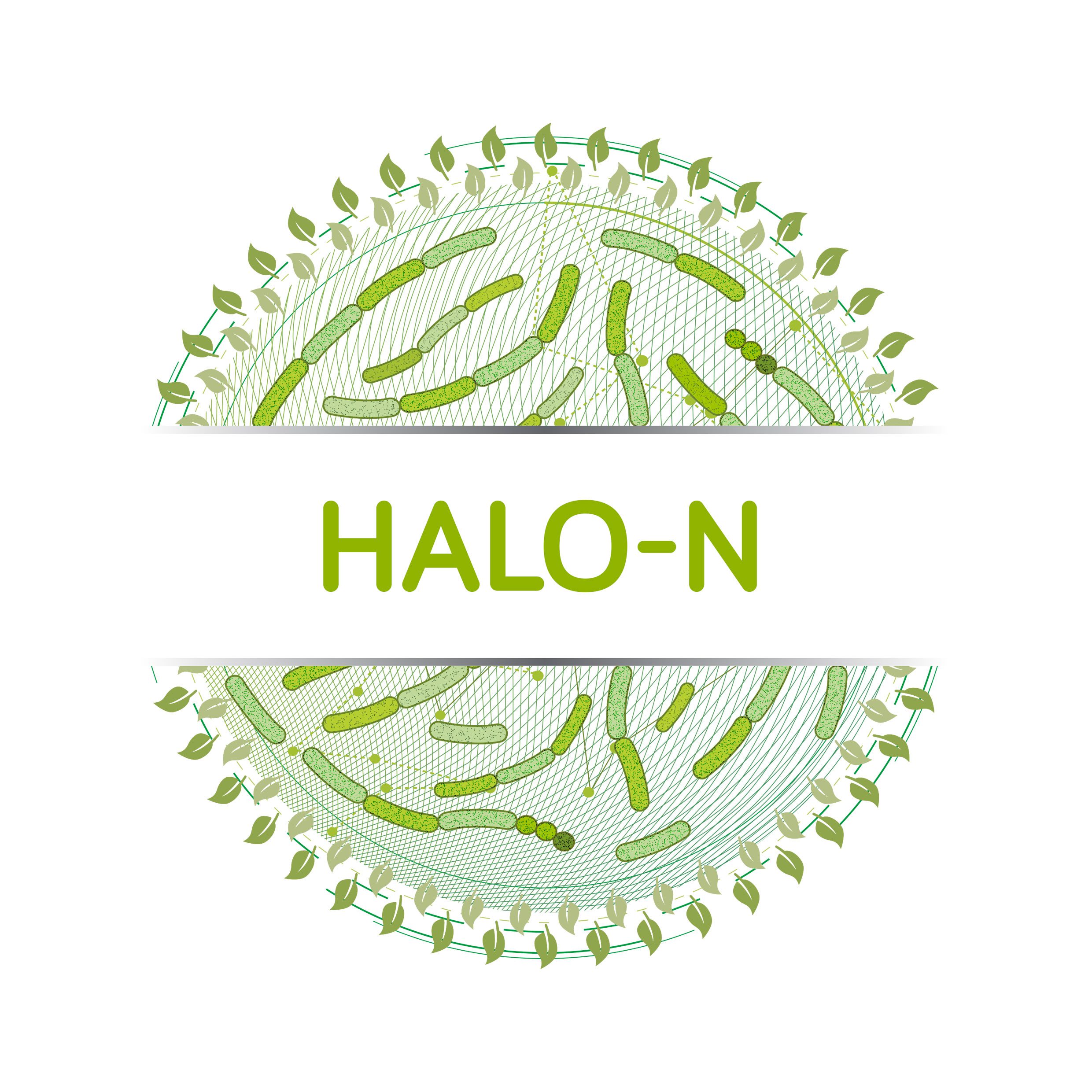 Halo-N