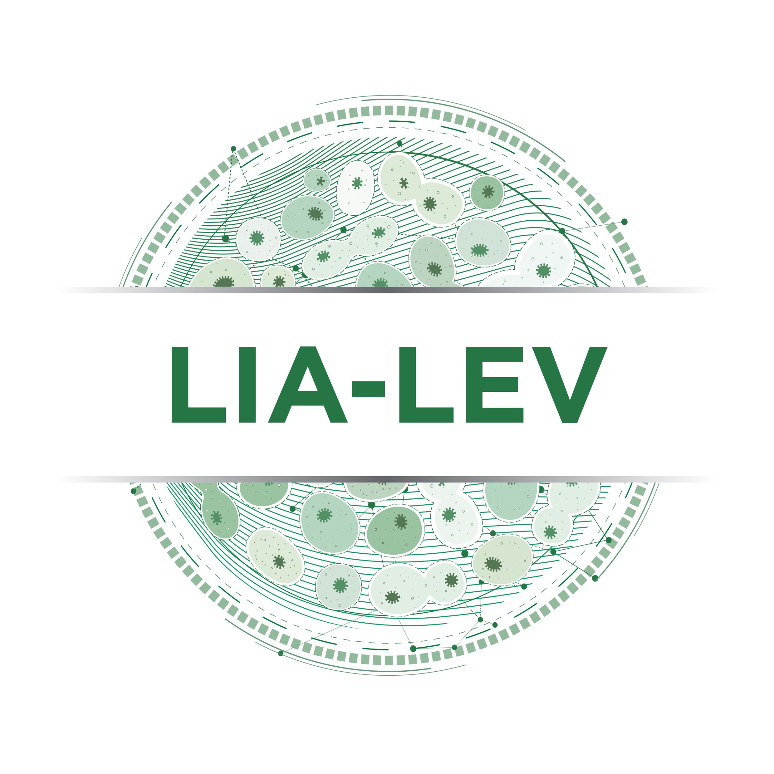 Lialev