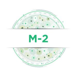M-2