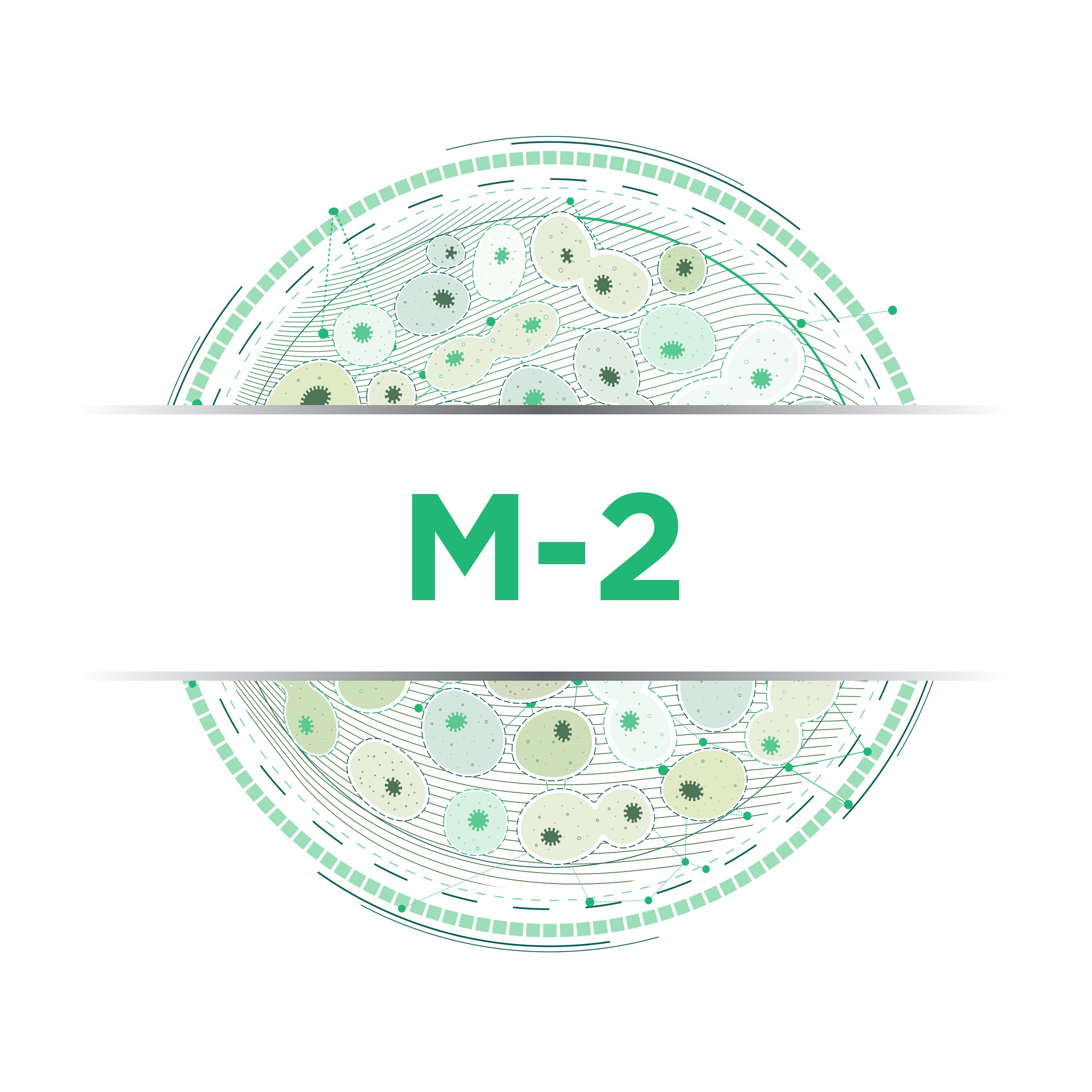 M-2