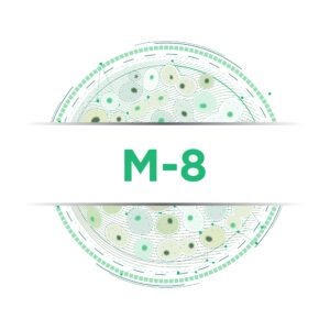 M-8