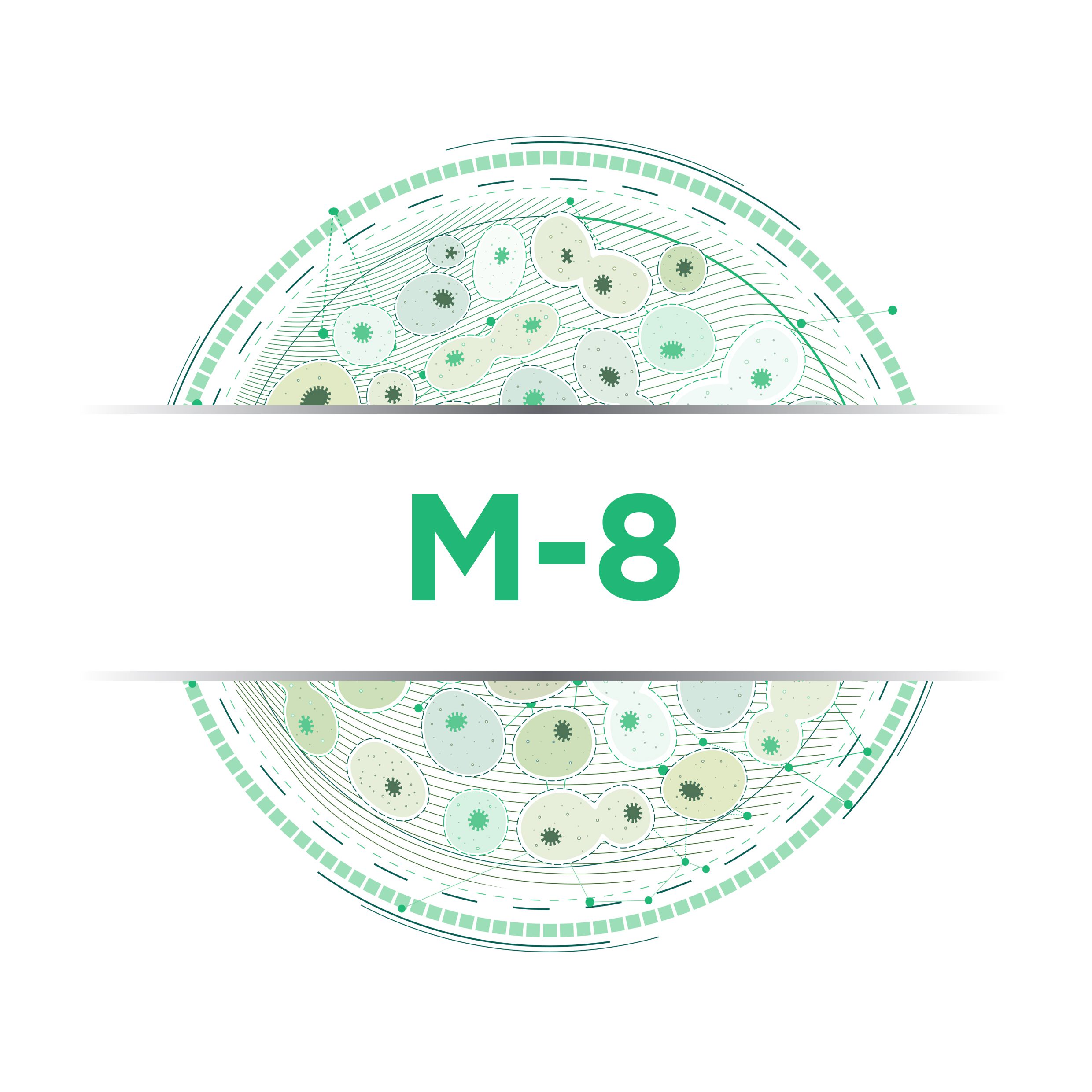 M-8