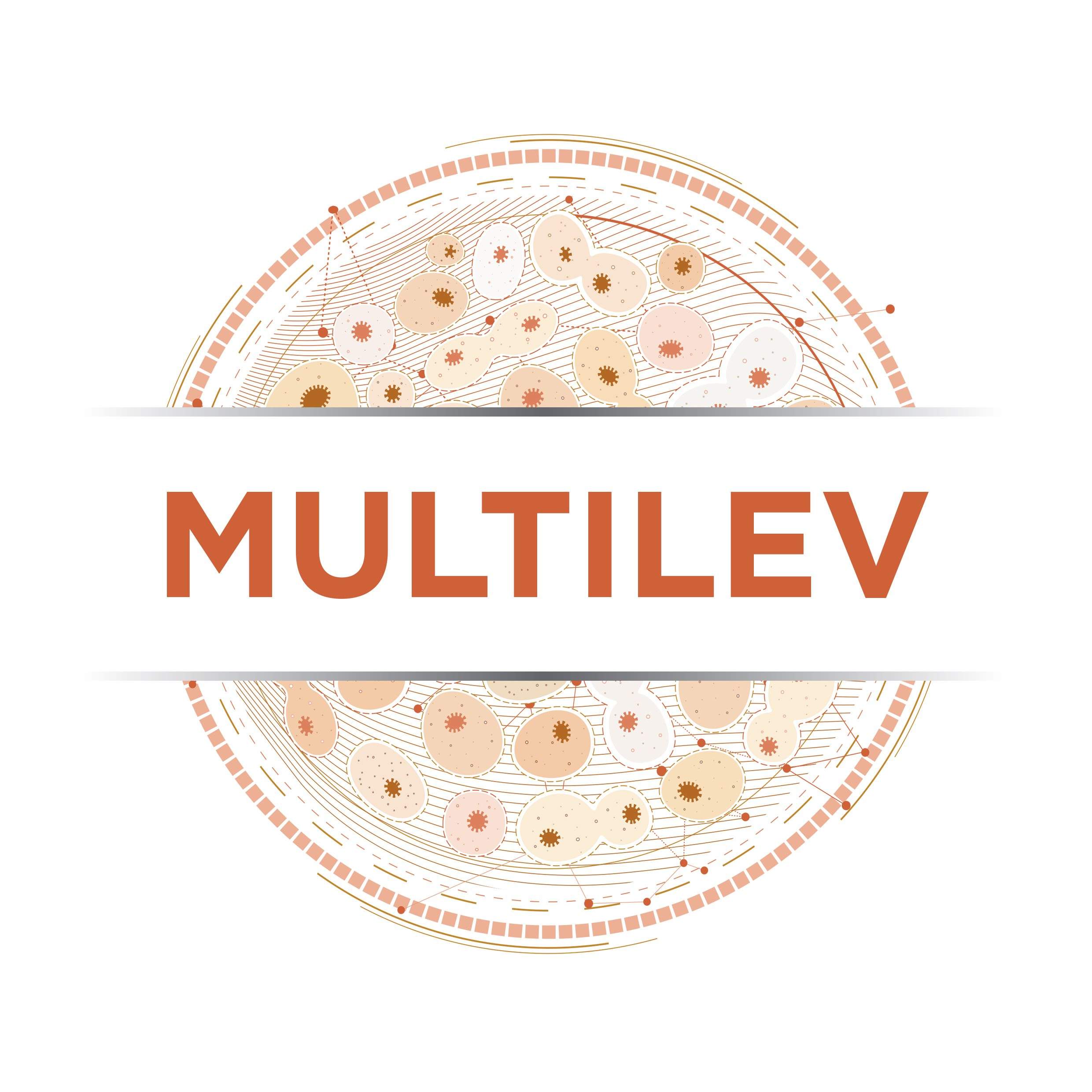 Multilev