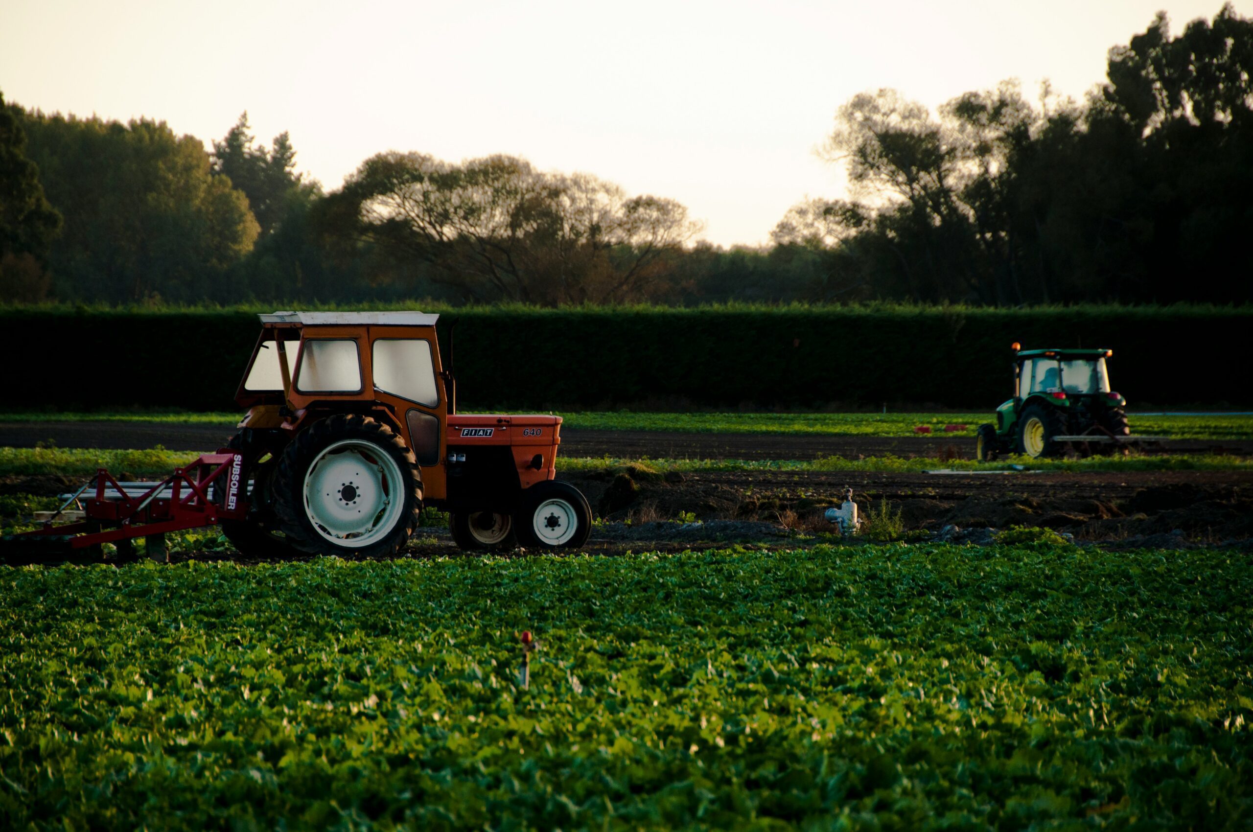 Sector Agro