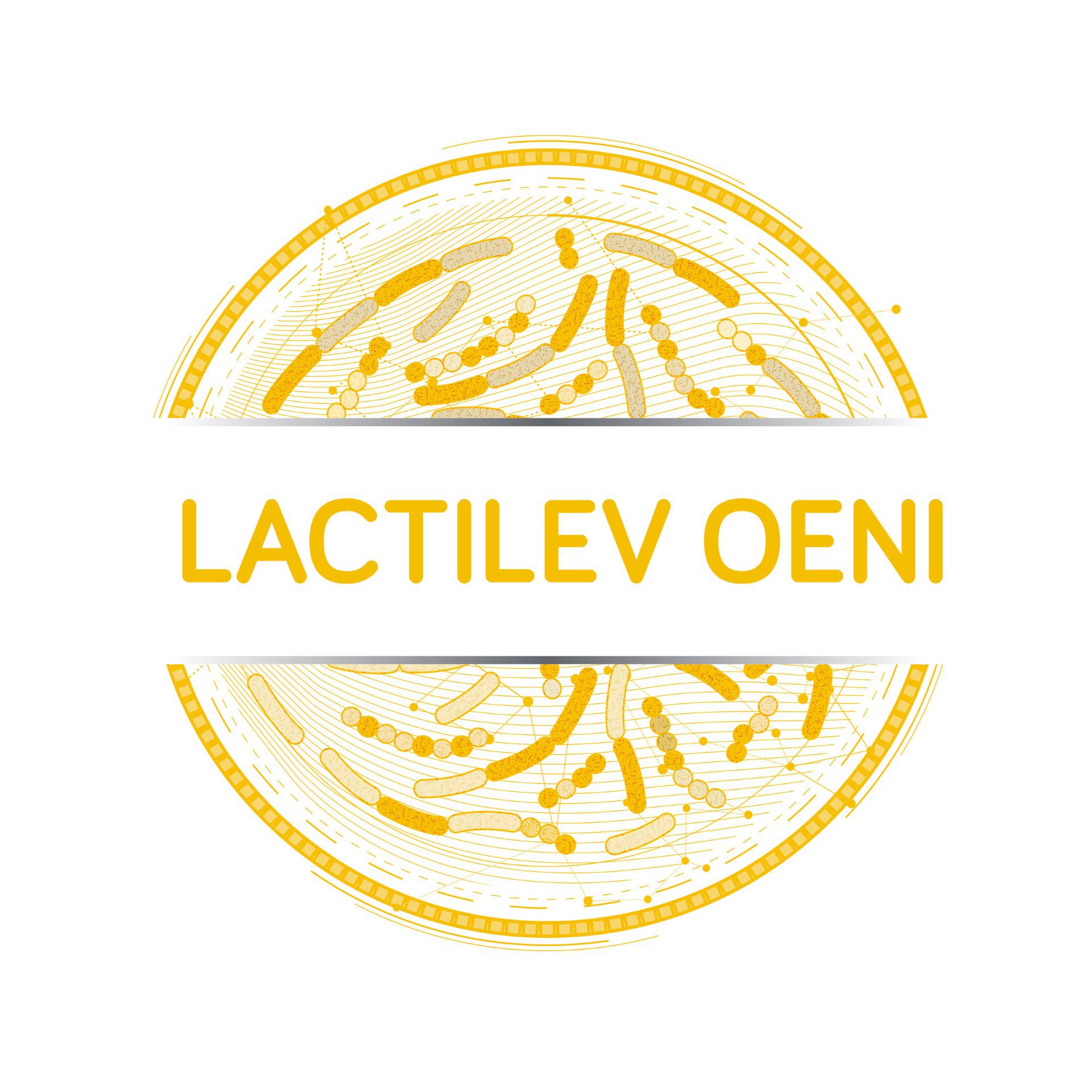 Lactilev-oeni