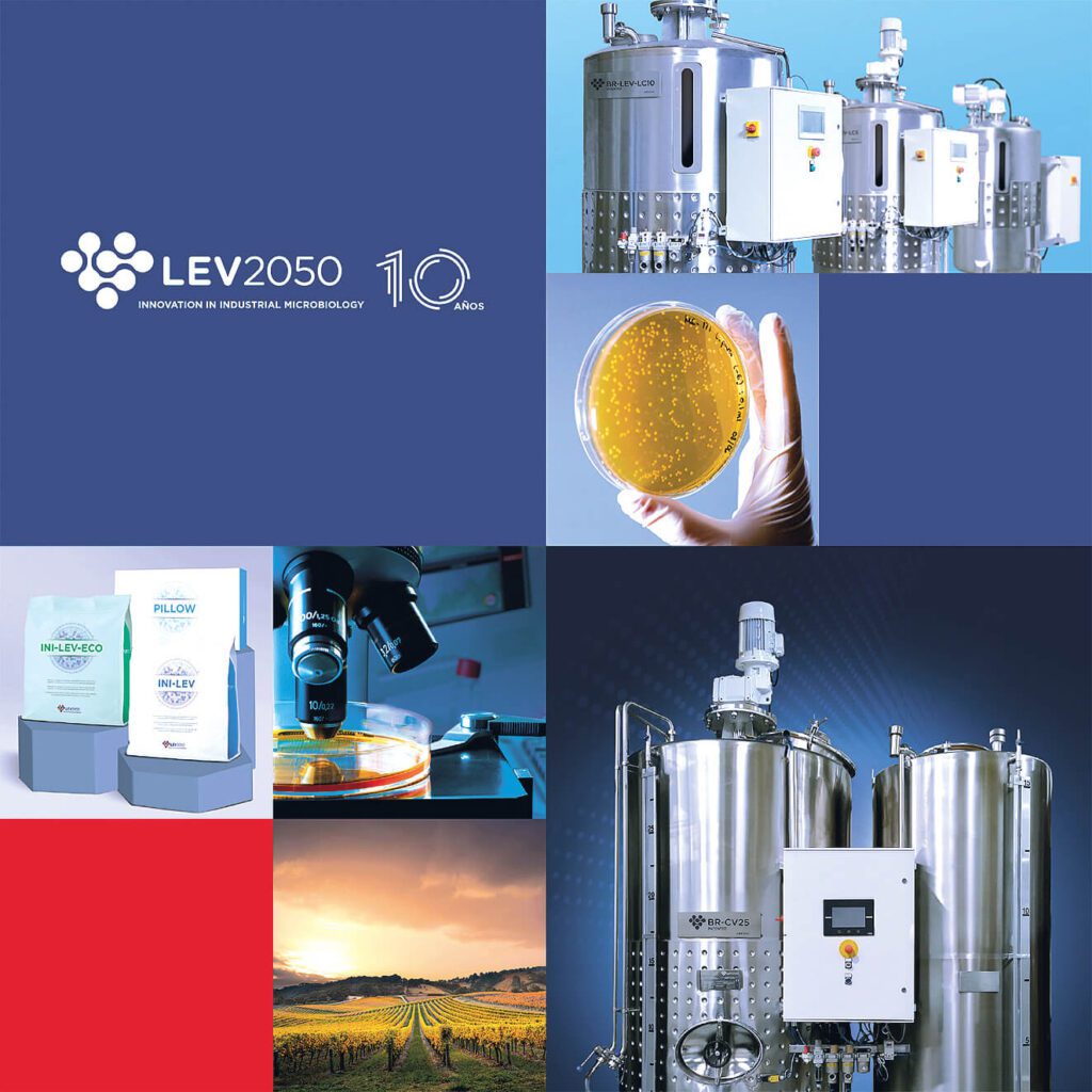 LEV2050