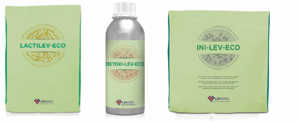 PRODUCTOS-ECO