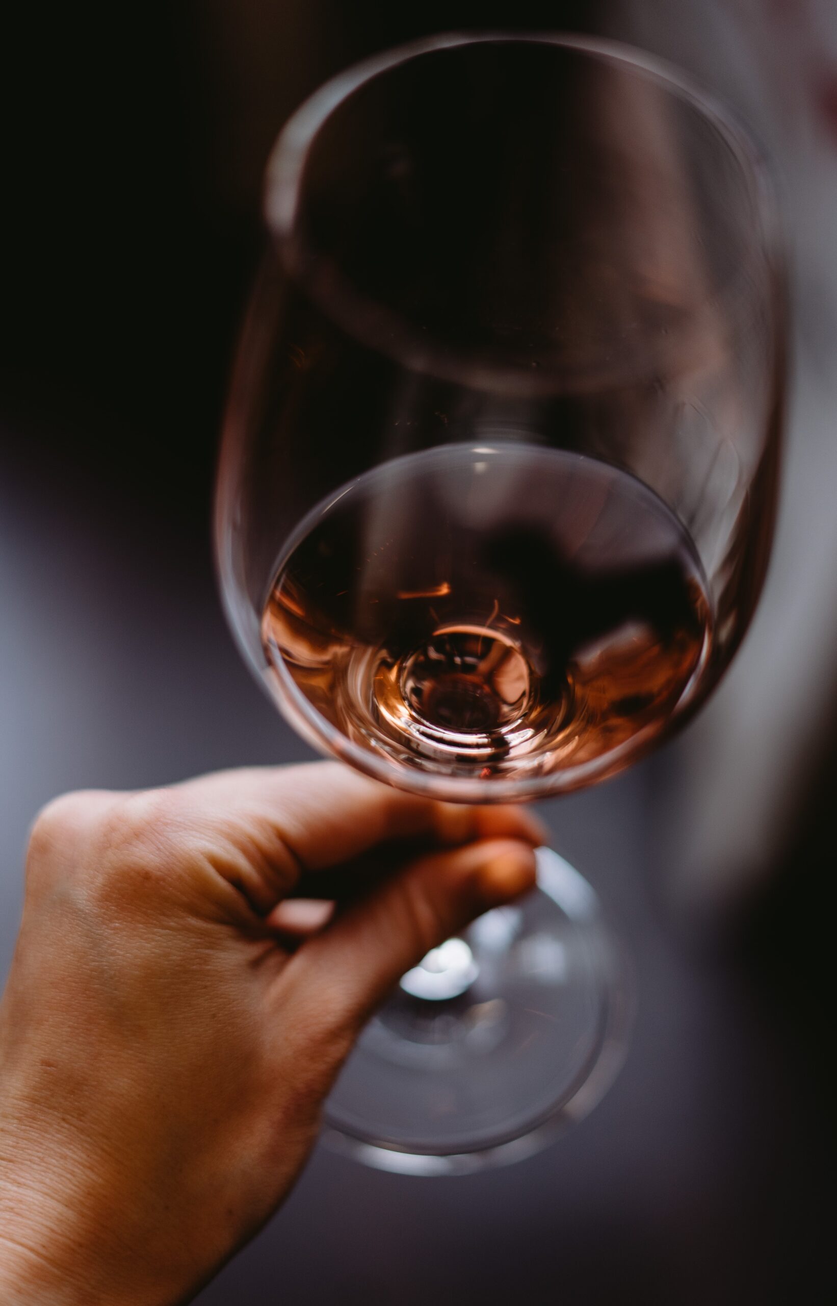 Cata de vino - LEV2050