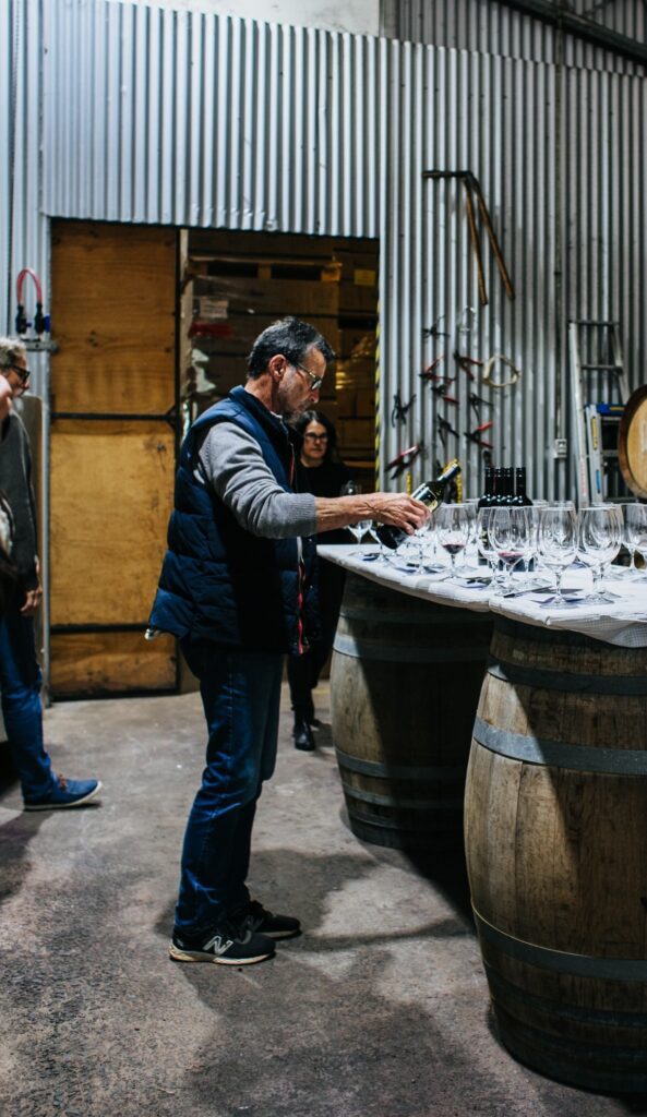 Cata de vinos