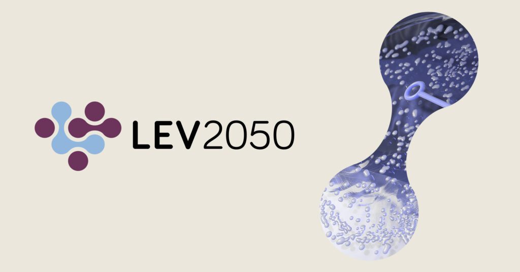 Lev2050 en Berrioplano