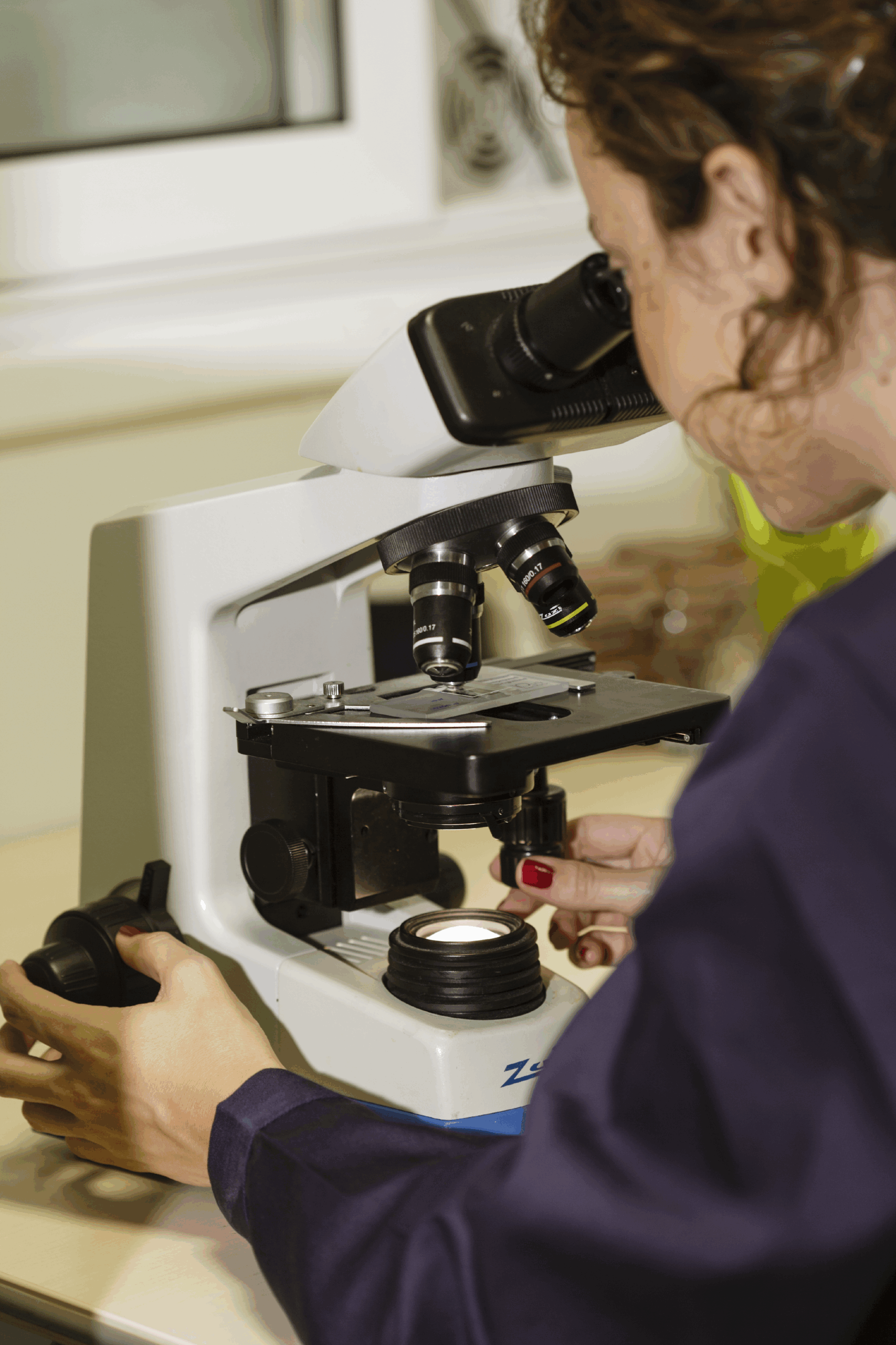Laboratorio LEV2050