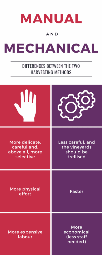 Differences between manual and mechanical harvest 3 Manual and mechanical harvest