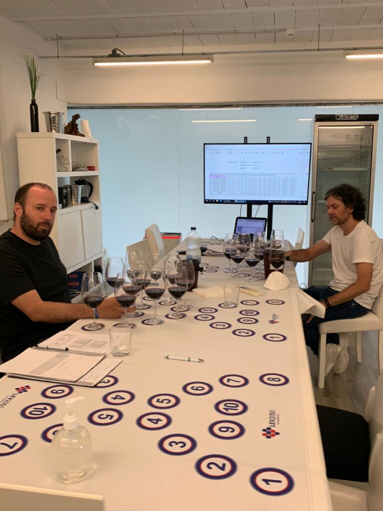 Estudio de levaduras de la bodega SOMMOS 5 Cata SOMMOS - LEV2050