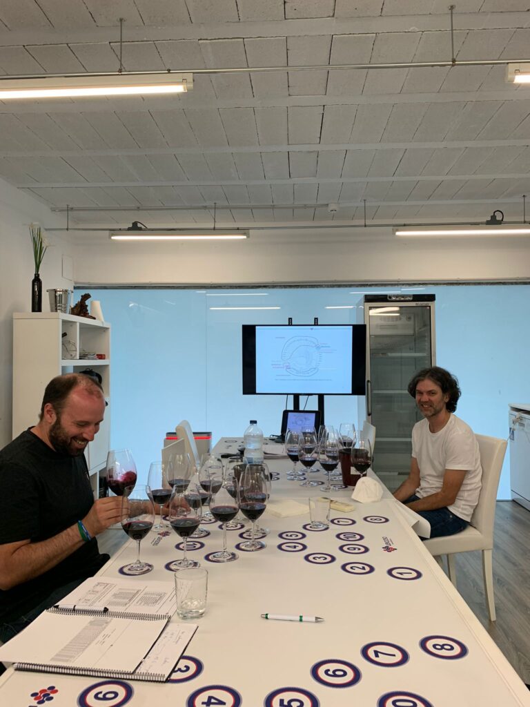 Estudio de levaduras de la bodega SOMMOS 3 Cata SOMMOS - LEV2050