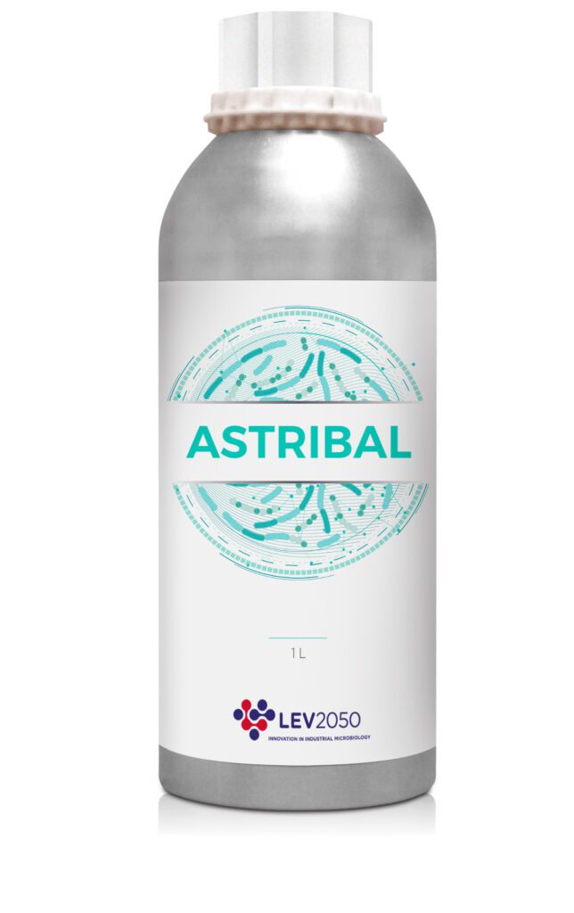 Astribal - LEV2050
