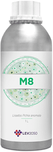 M8 - LEV2050