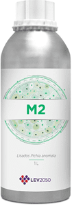 M2 - LEV2050
