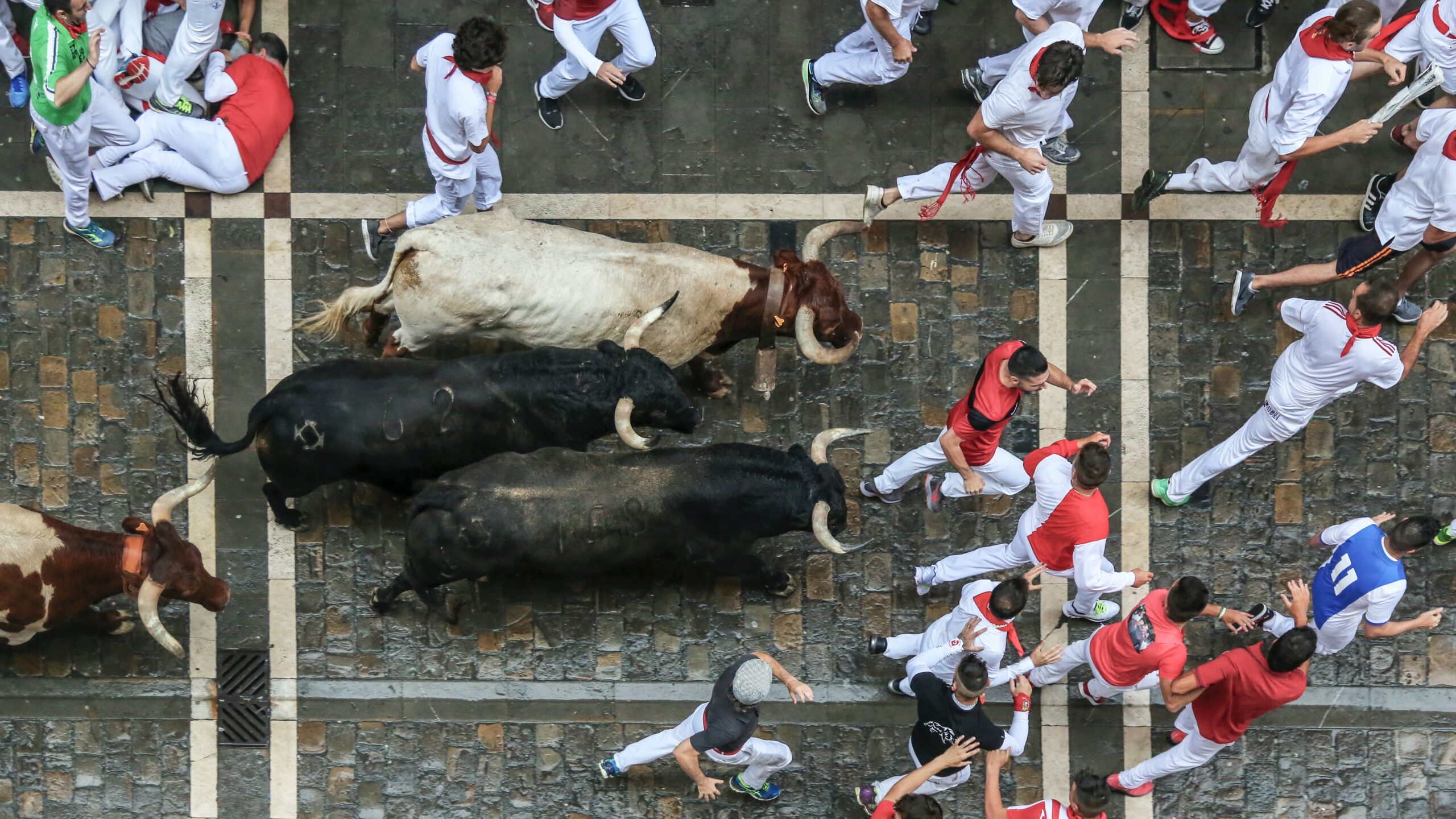 Sanfermines y el vino (6 - 14 de julio) 2 encierro