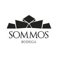 Estudio de levaduras de la bodega SOMMOS 1 sommos 1