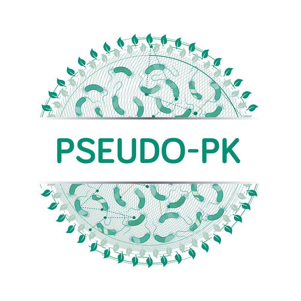 pseudo-pk