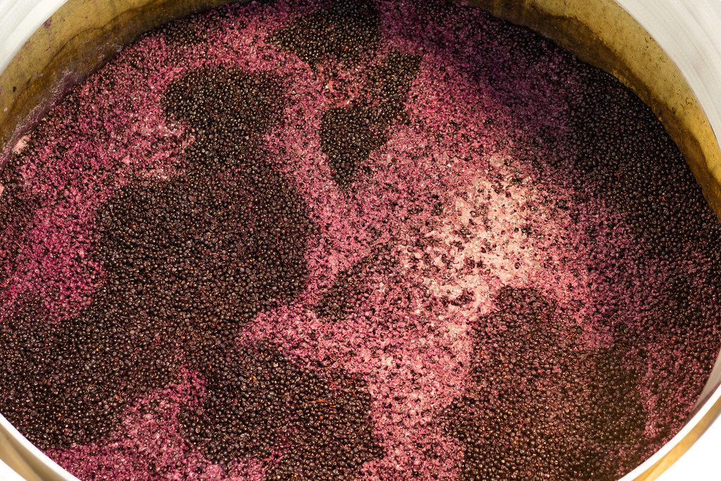 wine fermentation 1