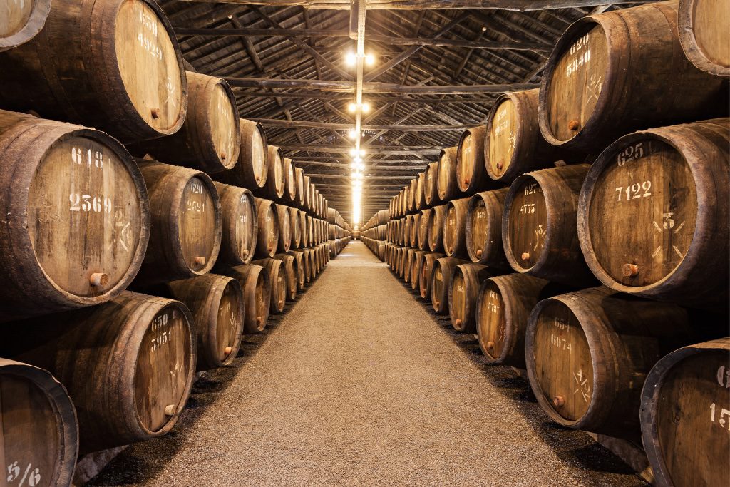 Fermentación maloláctica