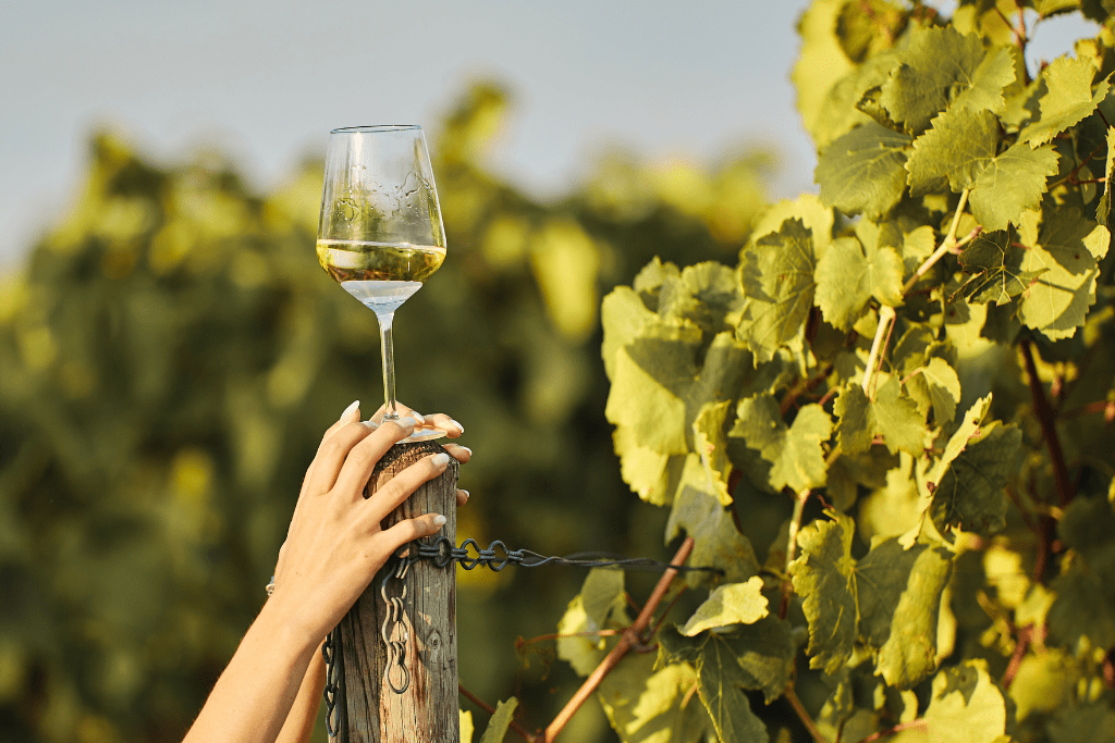 qué es el afinamiento en el vino