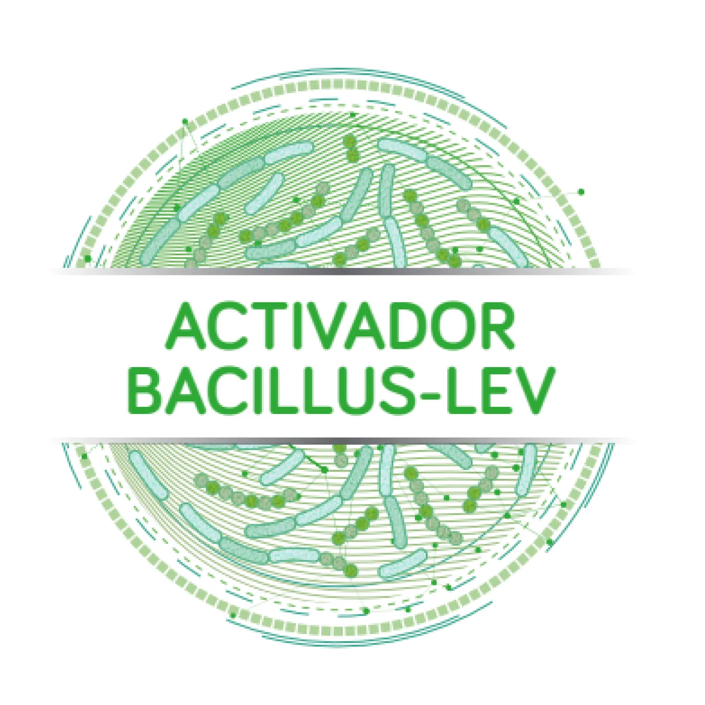 activador bacillus