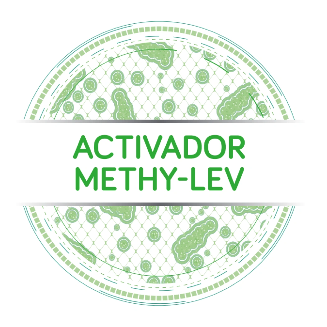 activador-methy-lev