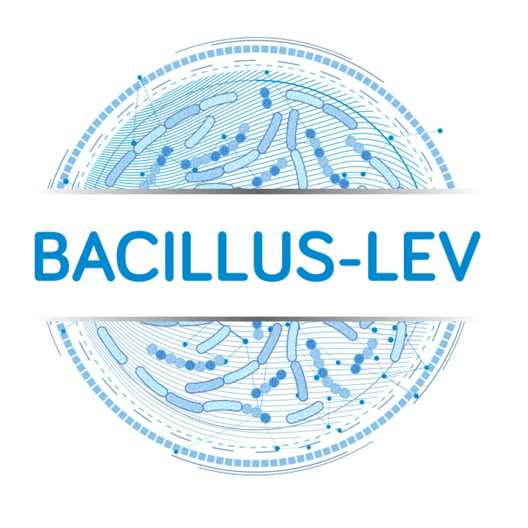 bacillus-lev