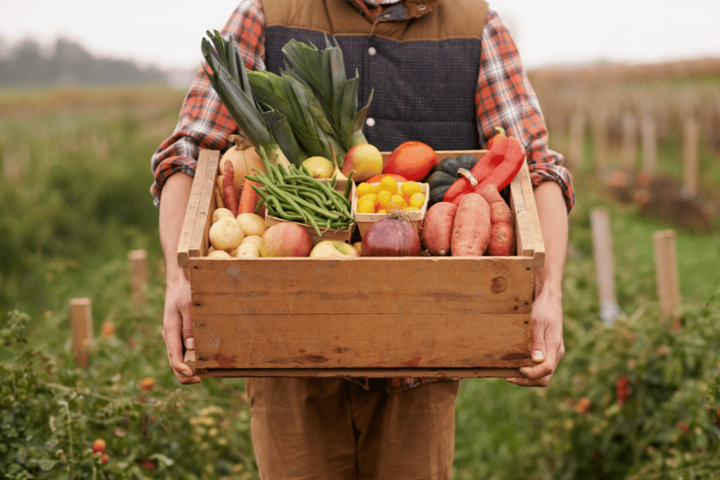 qué es la agricultura ecológica
